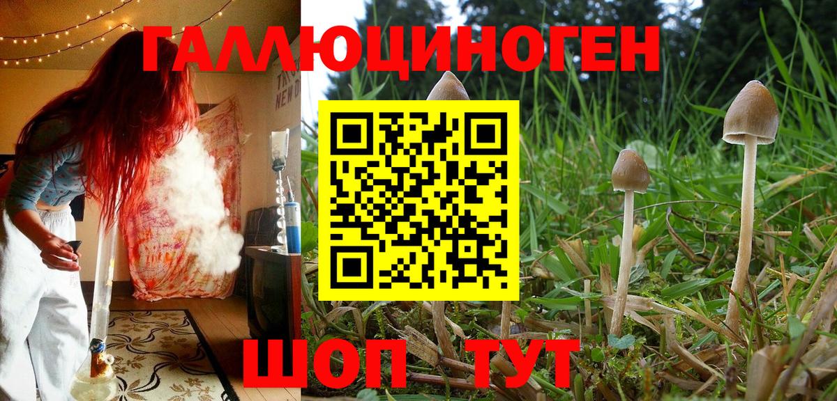 Псилоцибиновые грибы Psilocybe  Вход с VPN  Кстово 